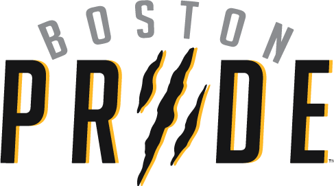 Boston Pride 2015-Pres Primary Logo iron on heat transfer